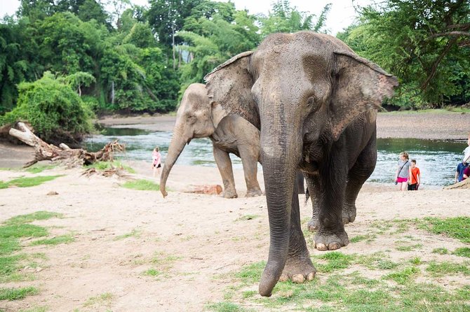 2 day 1 night Elephant World Kanchanaburi from Bangkok - Leaving Bangkok at 6:30 a.m.