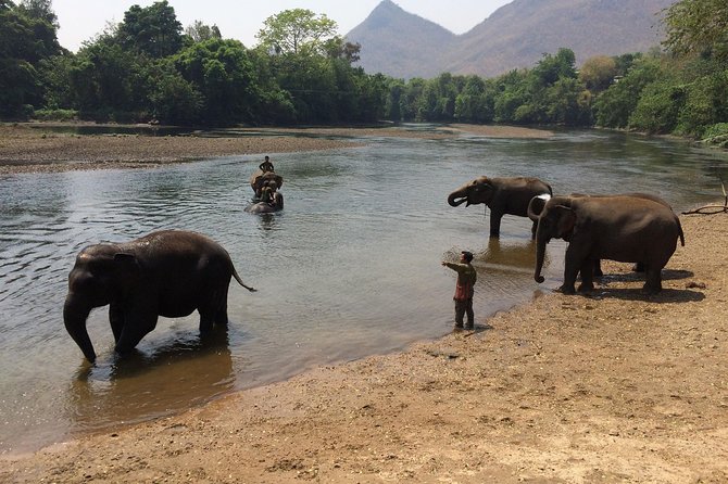 2 day 1 night Elephant World Kanchanaburi from Bangkok - What the $405.52 price covers