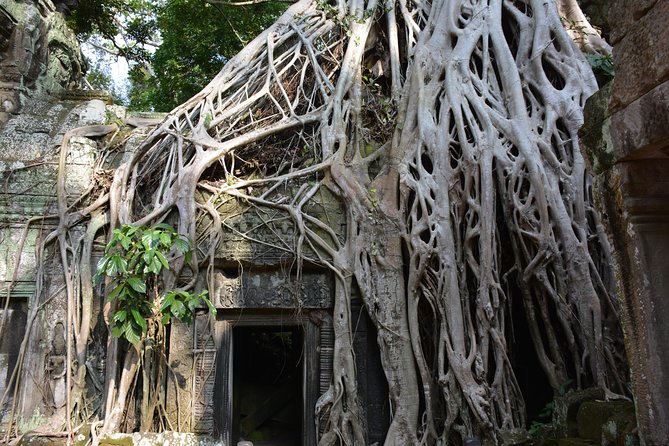 2-Day Angkor Wat Tour from Bangkok - The Siem Reap hotel and early breakfast