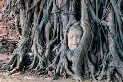 2 Day Private Car with Driver from Laem Chabang to Bangkok & Ayutthaya