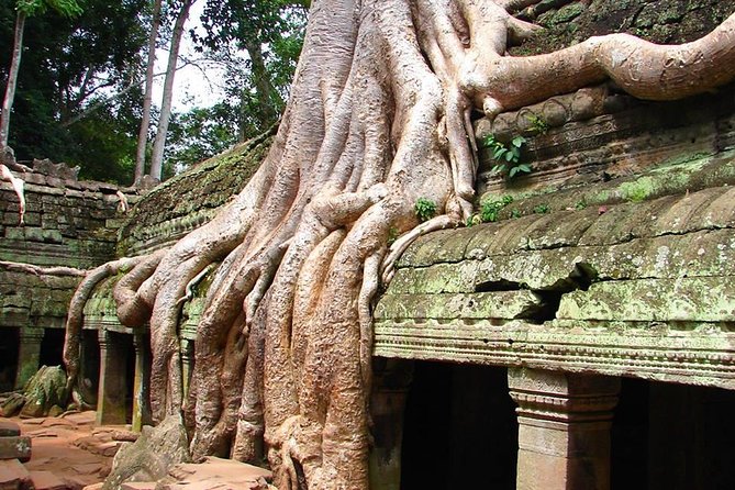 4 Days Expedition From Bangkok to Angkor Wat - Why this route works better than a rushed Angkor visit