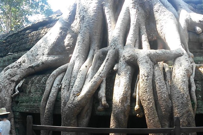 Angkor Wat 3-Day Tour from Bangkok - Preah Khan and Ta Prohm, two very different ruins