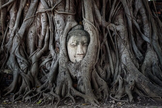 Ayutthaya Eco Friendly Bike Tour Famous Landmarks & Cultural Gems - Starting from Bangkok or Ayutthaya