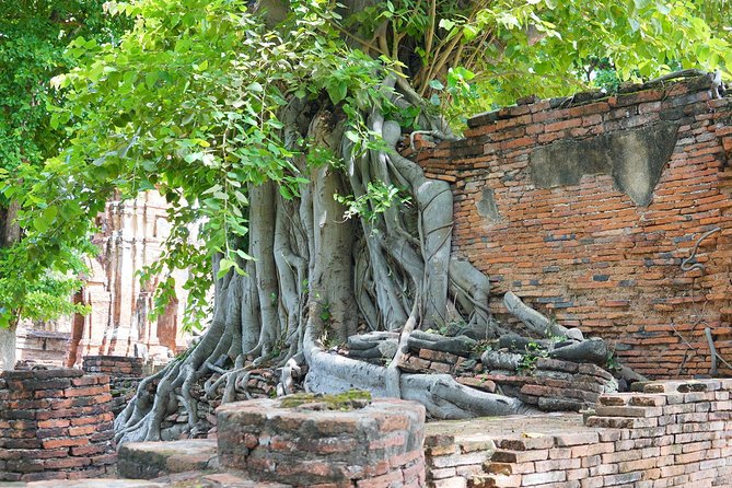 Ayutthaya Evening Tour with Dinner - Dinner gives the evening a proper finish