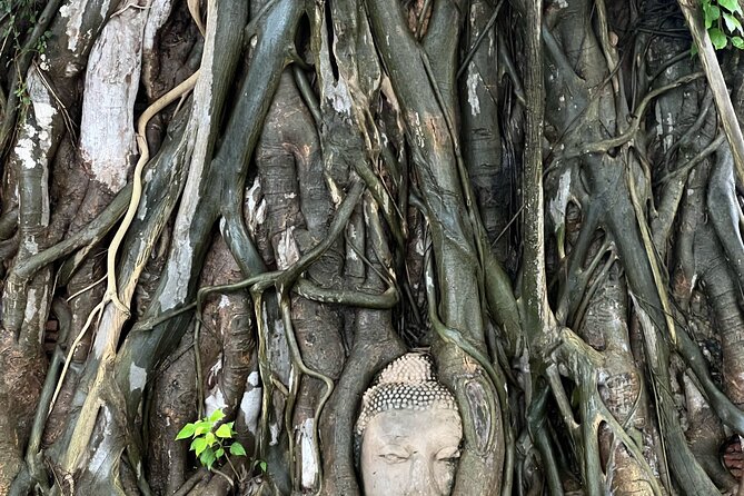 Ayutthaya’s Hidden Gems: Small Group Tour with Car & Local Guide - Why this Ayutthaya day feels different