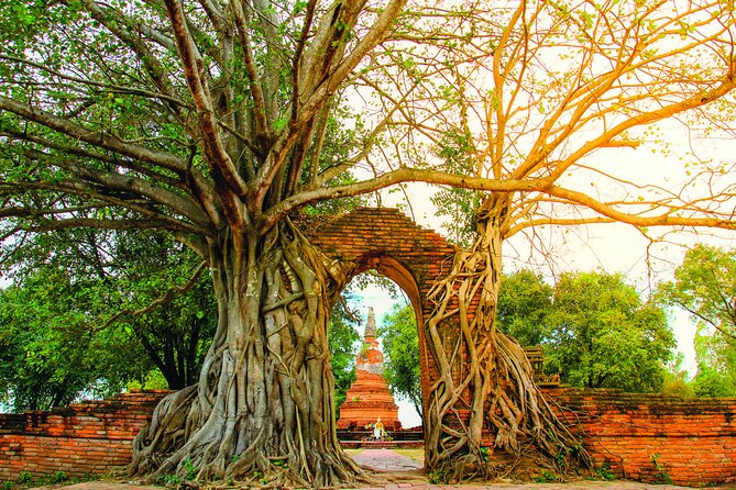 Ayutthaya Sunset Boat & UNESCO Temples: Multi-language private tour from Bangkok - Wat Chaiwatthanaram and the grand final temple