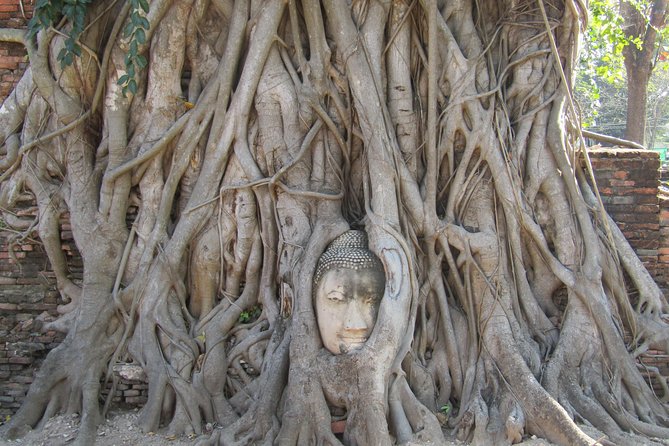Bangkok and Ayutthaya 3 Days - Booking advice and cancellation terms