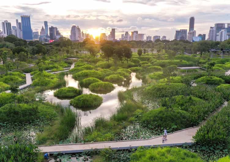 Bangkok Bicycle rental Benjakitti Park - What two hours really gives you