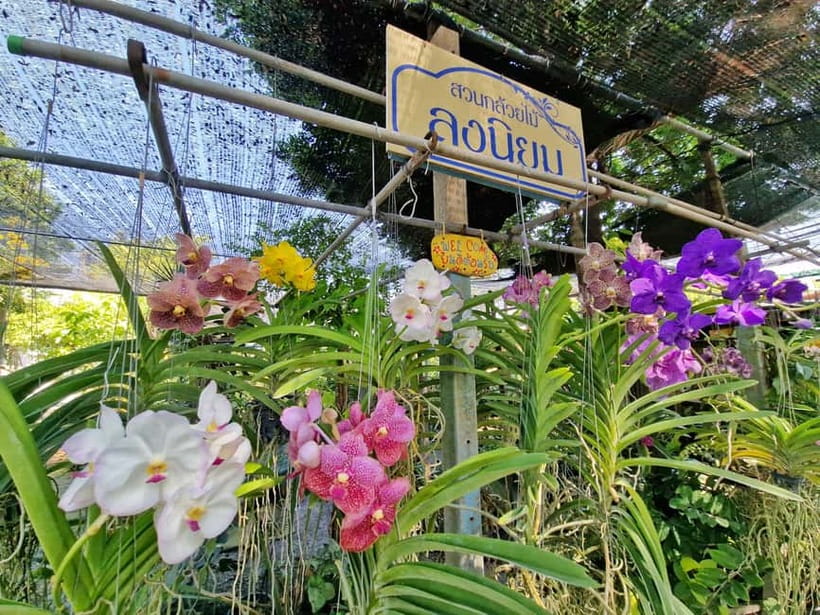Bangkok Canals Hop-On Hop-Off Boat Tour - Bangkok’s canals show the city at a slower pace