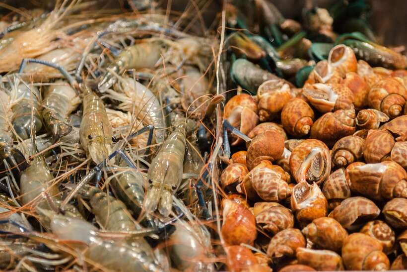 Bangkok: Chinatown Night Food Tour - Food stories between the tasting stops