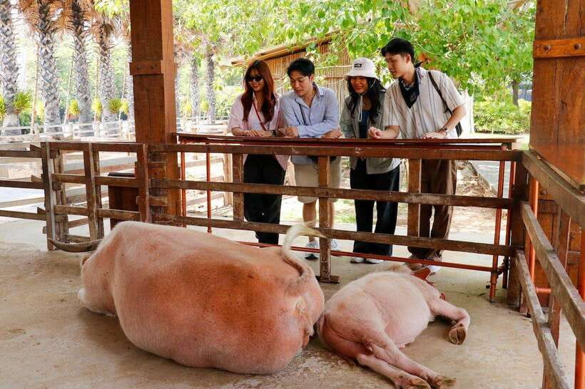 Bangkok: Damnoen Saduak and Train Market with Boat Ride - Lao Tuk Luck adds a quieter market stop