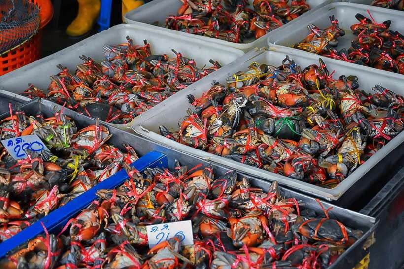 Bangkok: Damnoen Saduak Market and Maeklong Railway Market - Guides, Group Pace, and the Value of Help