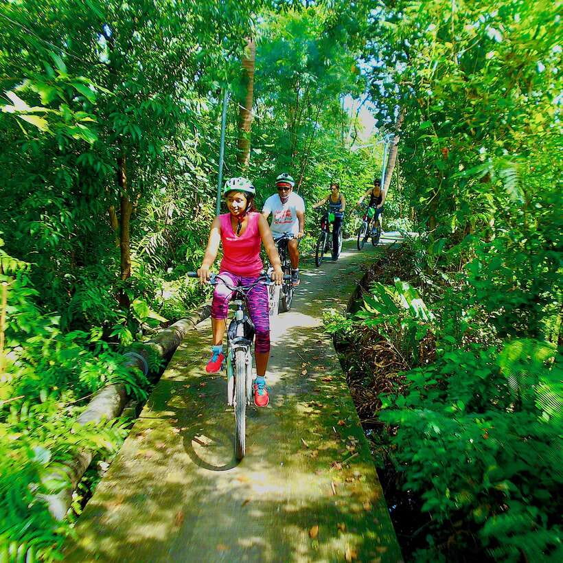 Bangkok green oasis guided bike tour with boat ride - What the guide adds to the ride
