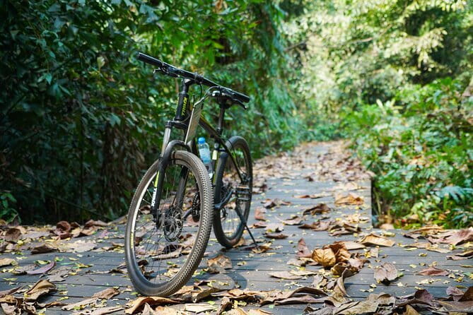 Bangkok Green Oasis Nature Bike Tour - Weekday lunch or a weekend floating market