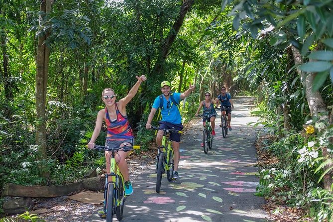 Bangkok Jungle Bike Tour - Hotel-pickup & Lunch - Why Bang Krachao makes a smart break from Bangkok