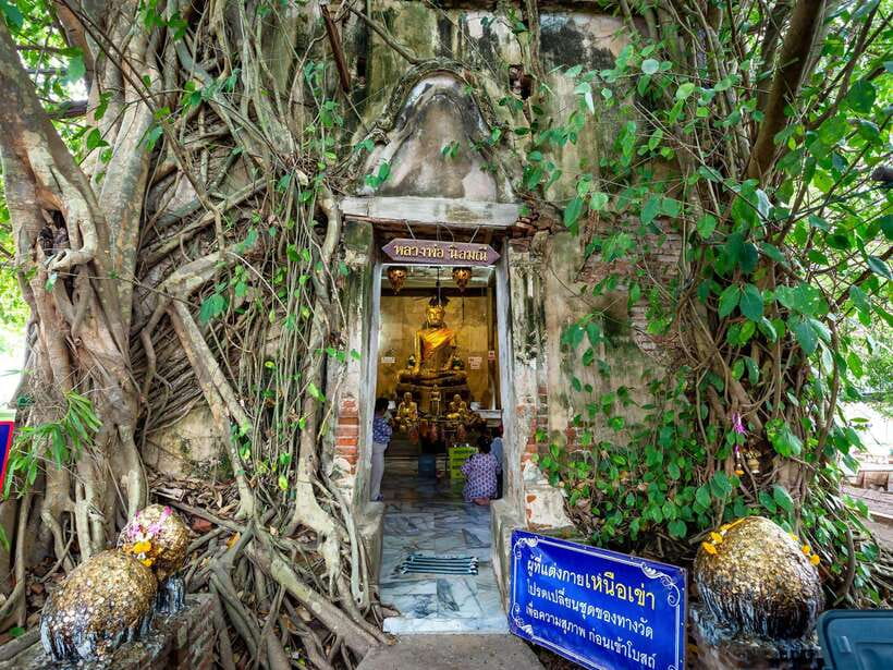 Bangkok: Maeklong Railway & Amphawa Floating Market Day Trip - How the guides shape the experience