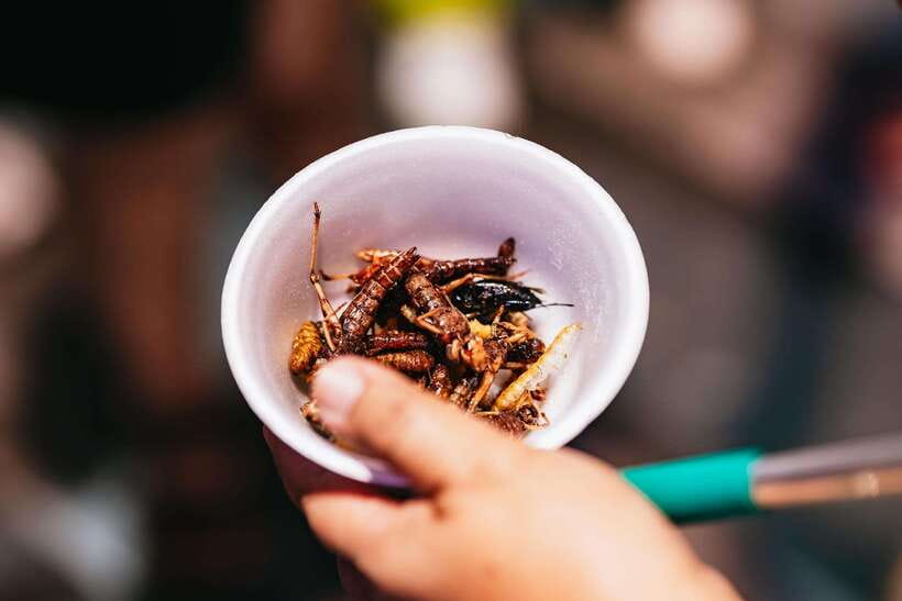 Bangkok: Michelin Guide Street Food Tour by Tuk Tuk - One hour or three hours?