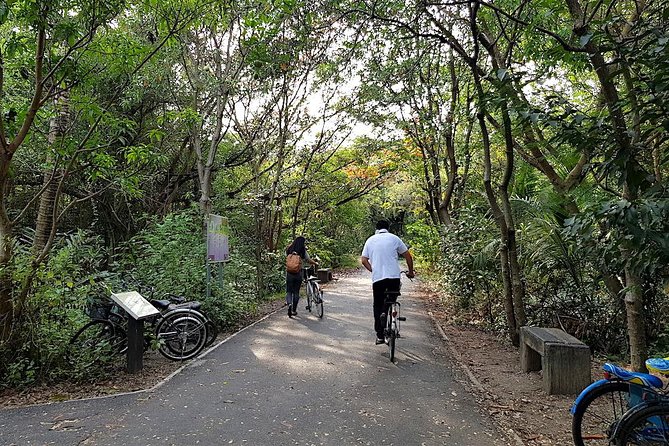 Bangkok's Green Lung Jungle Cycling Adventure Tour - A tuk-tuk ride and the Chao Phraya crossing