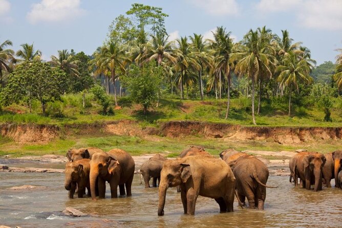 Bangkok: Safari world & Marine park - Key points at a glance