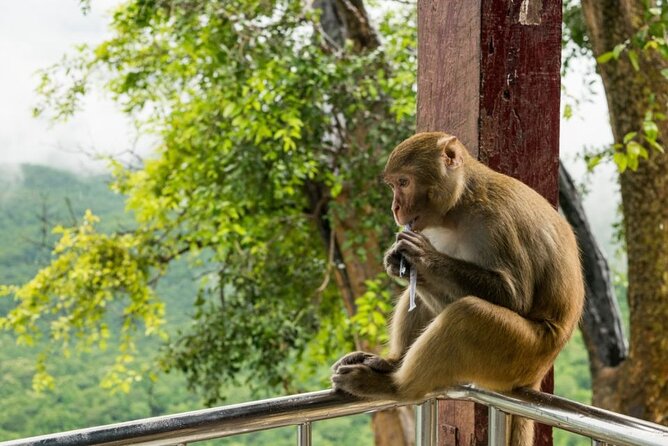 Bangkok: Safari world & Marine park - The 45-minute Safari Park drive