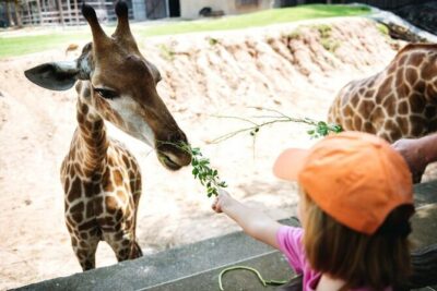 Safari world & Marine park