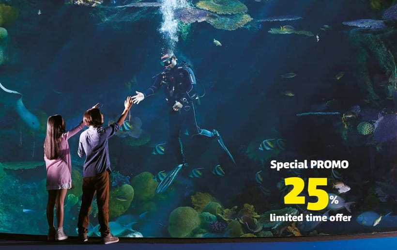 Bangkok: SEA LIFE Bangkok Ocean World Entry Ticket - What You Actually Get for $31