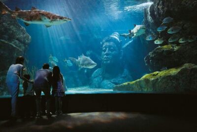 Bangkok SEA LIFE & Madame Tussauds Combo with Hotel Transfers