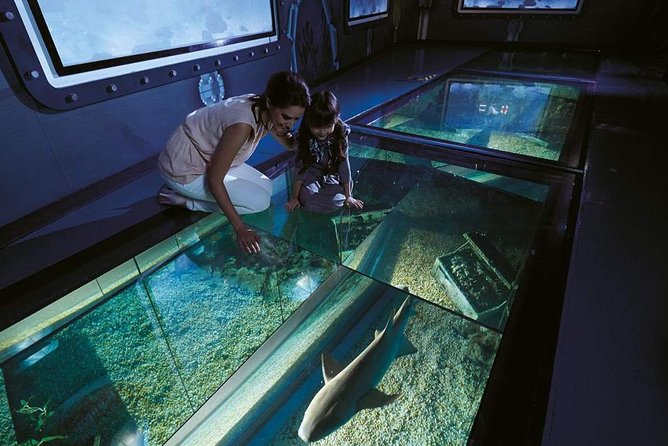 Bangkok SEA LIFE & Madame Tussauds Combo with Hotel Transfers - Why private transportation may be worth the higher price