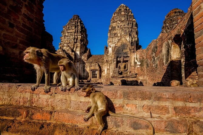 Bangkok to Ayutthaya Lopburi Monkey Temple, Largest Buddha Tour - Key points to know before you book