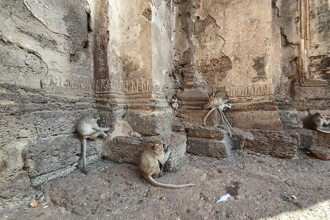 Bangkok to Ayutthaya Lopburi Monkey Temple, Largest Buddha Tour - Lopburi and Phra Prang Sam Yot: ruins with a monkey audience