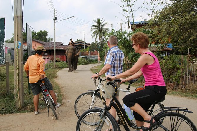 Colors of Ayutthaya Full-Day Bike Tour - The historic city, villages, and rice paddies