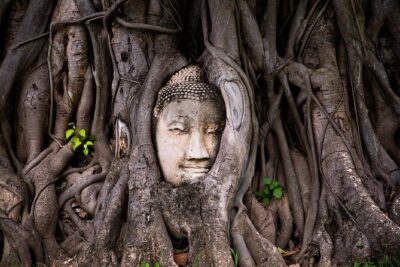 Damnoen Saduak Floating Market & Ayutthaya Tour from Bangkok