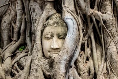 Day Tour of Ayutthaya and Bang Pa-In