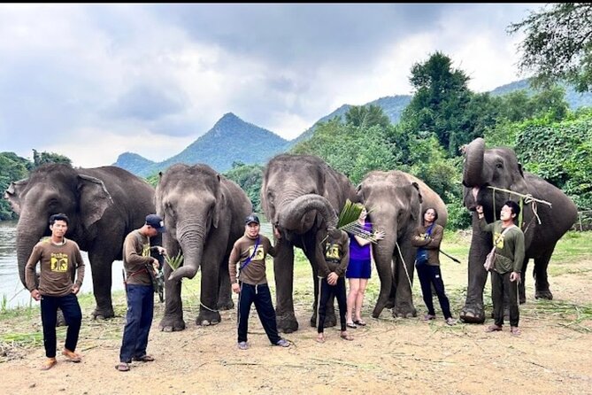 Erawan Waterfall and Elephant care from Bangkok -Private Tour - The long road back to Bangkok