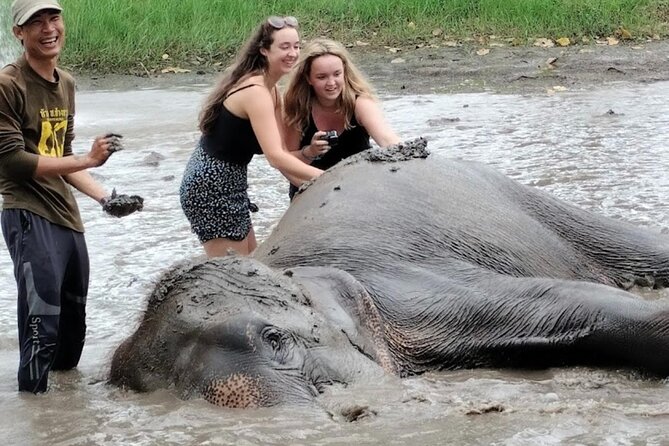 Erawan Waterfall and Elephant care from Bangkok -Private Tour - Private tour does not always mean private guiding