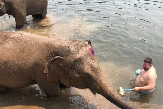 Erawan Waterfall and Elephant care from Bangkok -Private Tour - Who will enjoy this day most