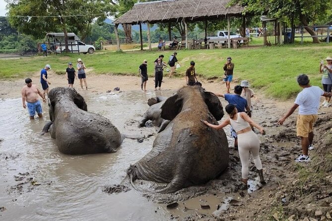 Erawan Waterfall and Elephant care from Bangkok -Private Tour - Practical things to settle before departure