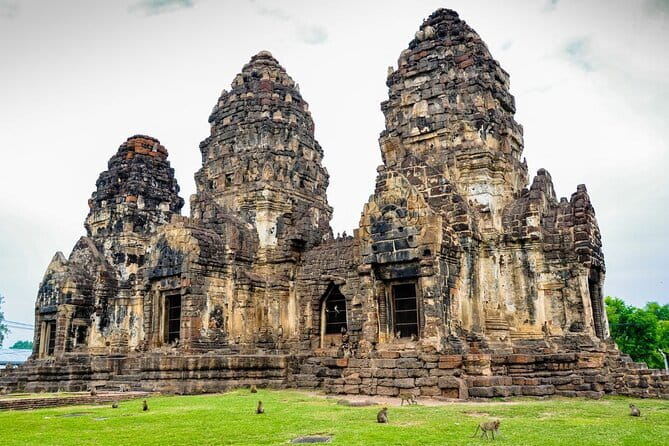 Ethical Elephant Watching Tour From Bangkok & Pattaya - Is $115 good value?