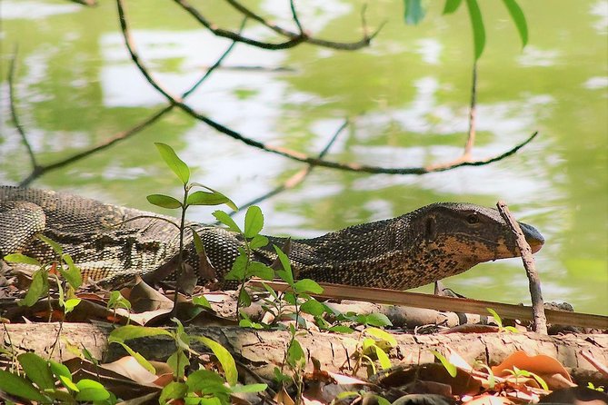 Family Bicycle Tour in the Green Oasis of Bangkok on Bamboo bikes - Thai lunch and the value of the package