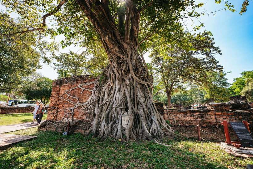 From Bangkok: Ayutthaya Temples Guided Tour with Lunch - Wat Chaiwatthanaram and the first look at Ayutthaya