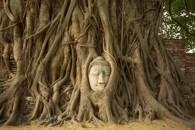 From Bangkok: Ayutthaya Temples Small Group Tour with Lunch - Wat Mahathat and the Buddha in tree roots