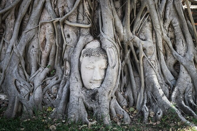 From Bangkok: Ayutthaya UNESCO Heritage Park and Temples Tour - Walking, weather, and comfort