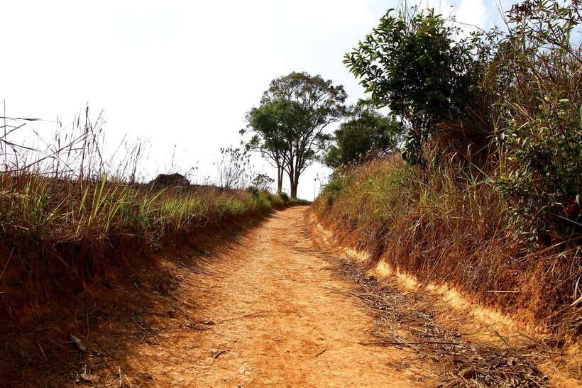 From Bangkok: Khao Yai National Park Small-Group Day Trip - Guides who can shape the day