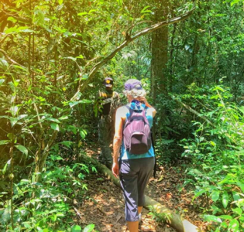From Bangkok: Khao Yai National Park Small-Group Day Trip - Walking the KM 33 to Nong Phak Chi Trail