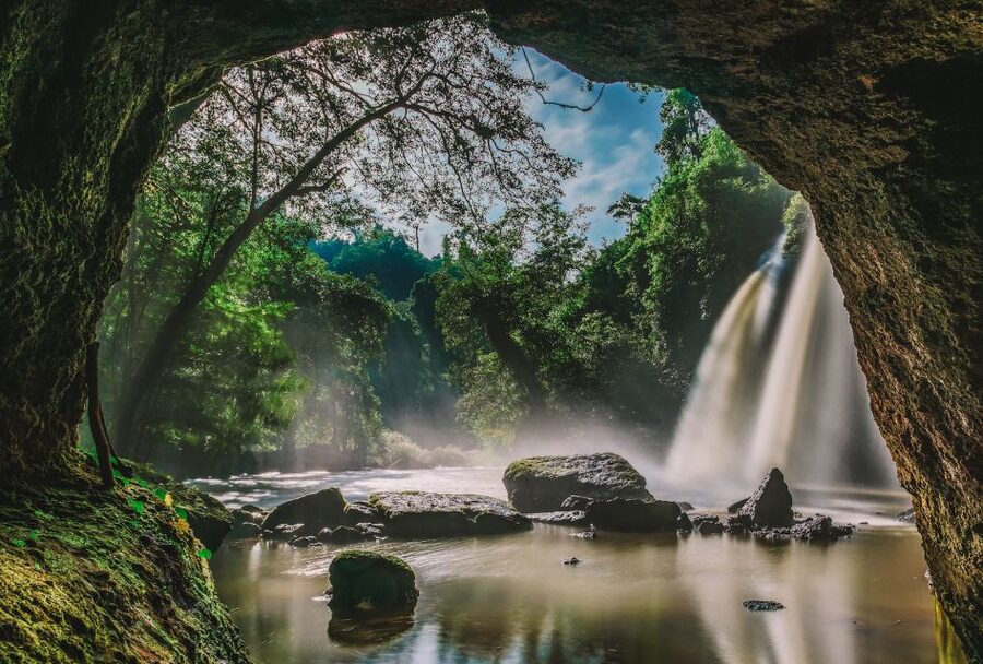 From Bangkok: Khao Yai National Park Small-Group Day Trip - Haew Suwat Waterfall and its jungle setting