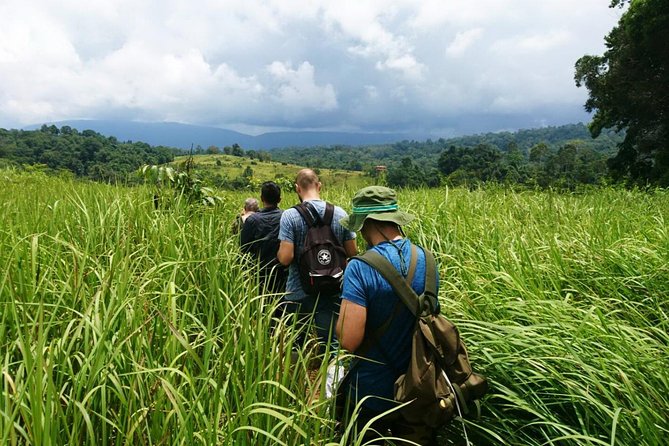 Haew Suwat Waterfall-Jungle Hiking to KM 33 Nong Pak Chi - Leaving Bangkok for Khao Yai National Park