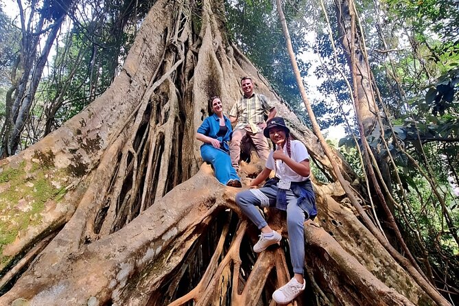 Haew Suwat Waterfall-Jungle Hiking to KM 33 Nong Pak Chi - The Visitor Center and Khao Yai’s protected setting