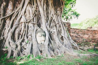 Heritage Tour in Ayutthaya by Cruise