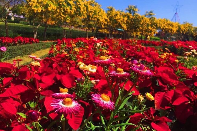 Khao Yai national Park day tour from Bangkok - Why Khao Yai makes a long day worthwhile