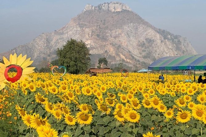 Khao Yai national Park day tour from Bangkok - Haew Suwat Waterfall and the movie connection